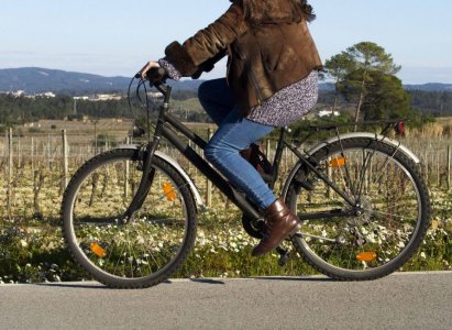 Organisation de visites guidées à pied et à vélo avec les hôtes du domaine de São Lourenço.